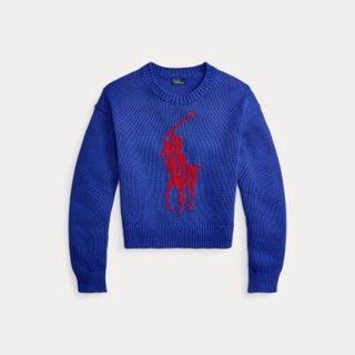 Long Sleeve Crew Neck Sweater